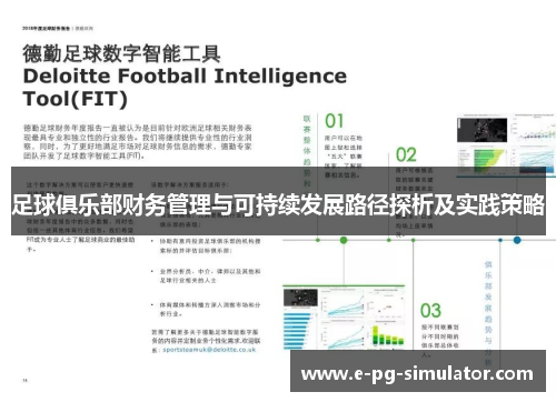 足球俱乐部财务管理与可持续发展路径探析及实践策略
